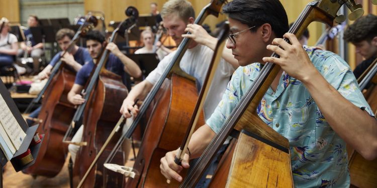 Double bass players in an orchestral rehearsal