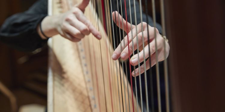 Close up of hands playing a harp