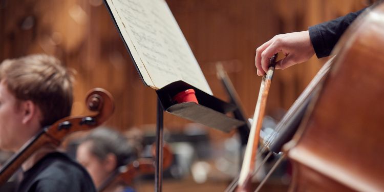 Close up of a bow on a cello