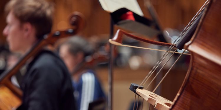 Close up of a bow on a cello