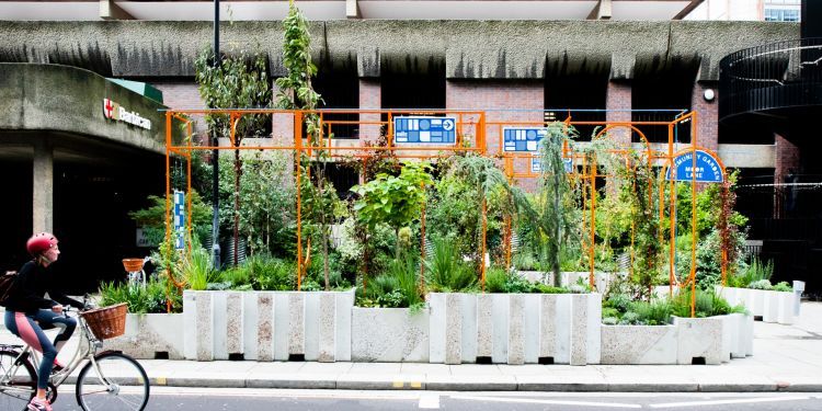 Culture Mile's garden at Moor Lane