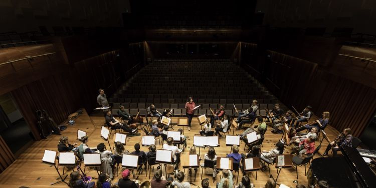 musicians in orchestra set up