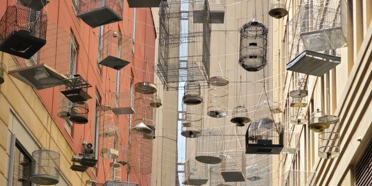 Hanging wire cages