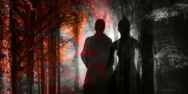 Two shadows in a dark forest