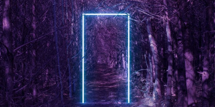 An illuminated rectangle in the middle of a forest