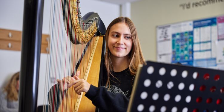 Harpist