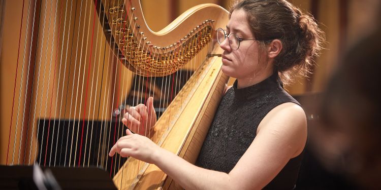 Guildhall harp player (c) Paul Cochrane