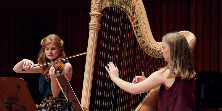 Harp and Flute chamber music