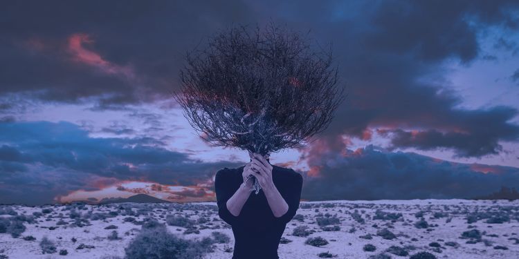 Figure in the foreground dressed in black, holding a bunch of dried, burnt foliage, with desert landscape in the background and cloudy, red skies