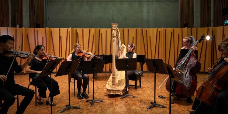 Chamber orchestra performing on stage together