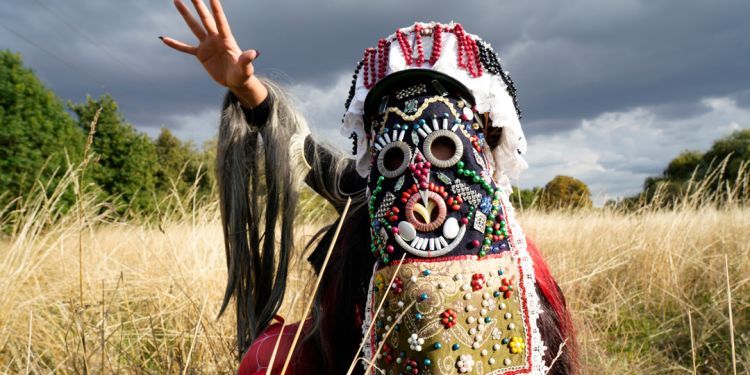 Person in a mask and costume standing in a field