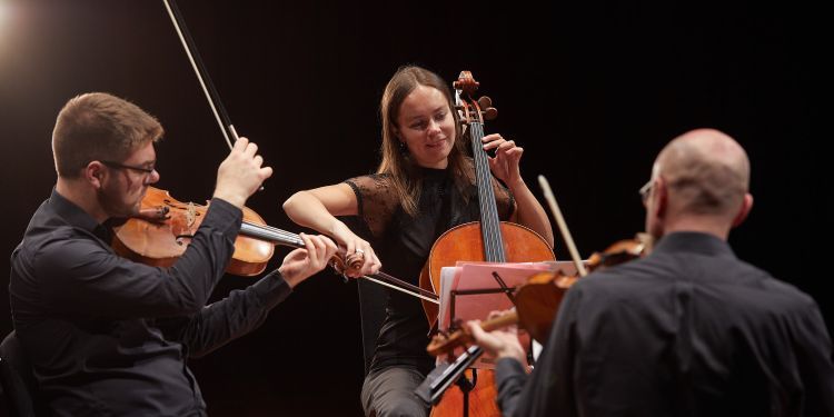 String trio in performance