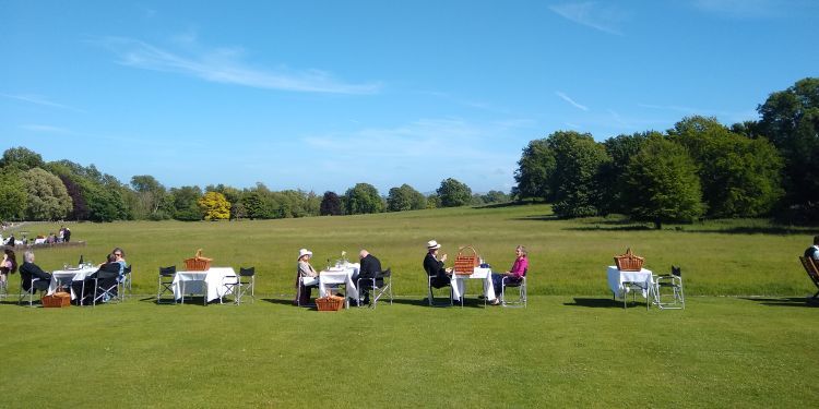 A summers day at a park with tables set out in a row with people eating at them
