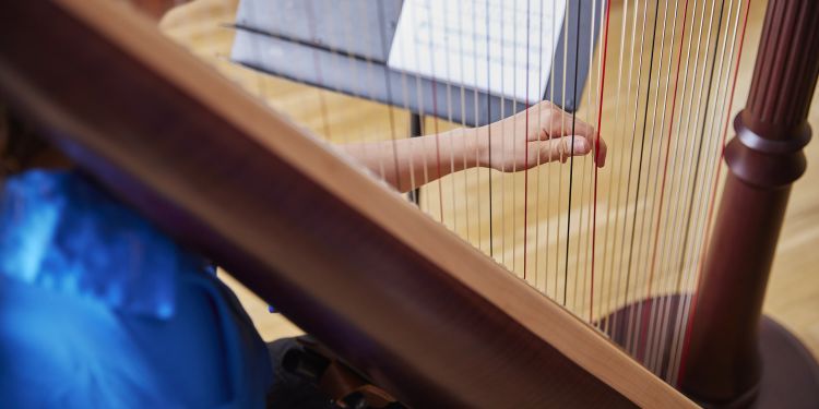 Close up photo of a section of a harp being played by a student wearing a blue tshirt