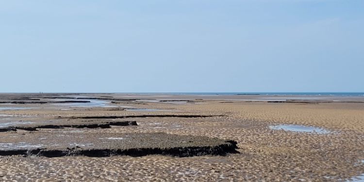 Dunes at HolmeSandy beach at low tide with shallow pools of water and exposed dark patches of mud or peat under a clear blue sky.
