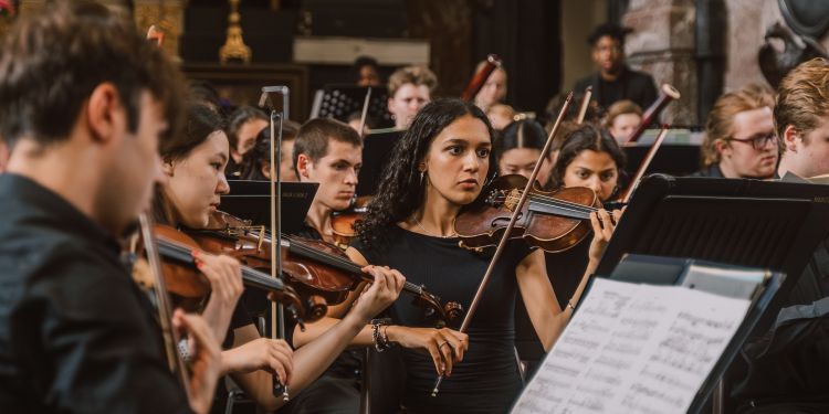 LSSO violins