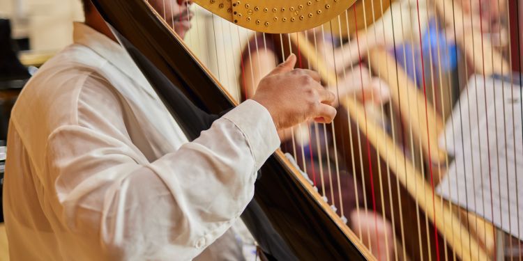 A harp player is plucking the strings of a harp