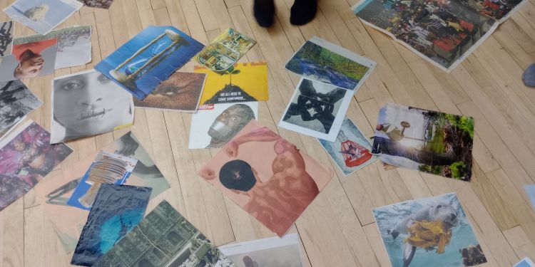 Multiple posters showing animals, nature and humans laid on a wooden floor