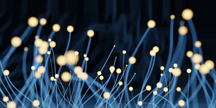 The Making Of Us 2026