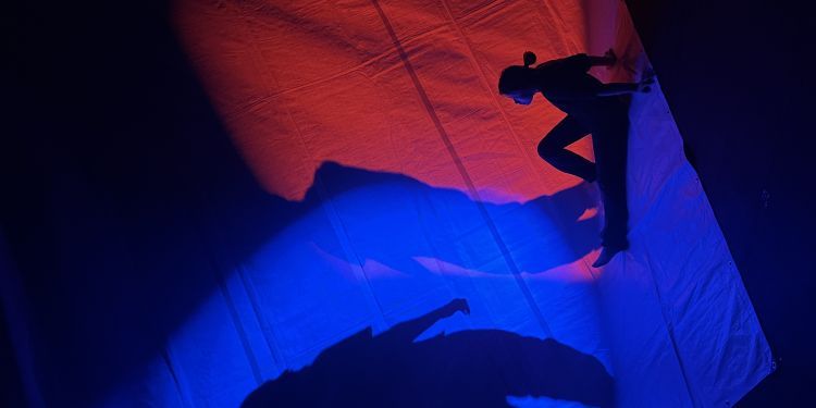 Shadows shown on a blue and red screen