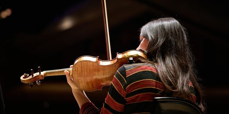 The back of a viola player