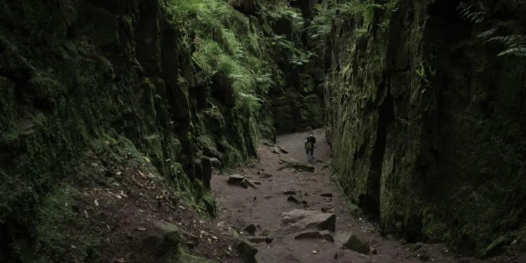 A person walking in a forest and either side are rocks
