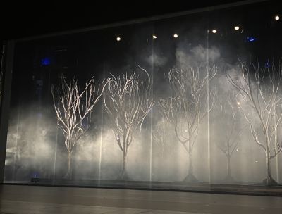 Scene on a stage of trees in mist on a dark background