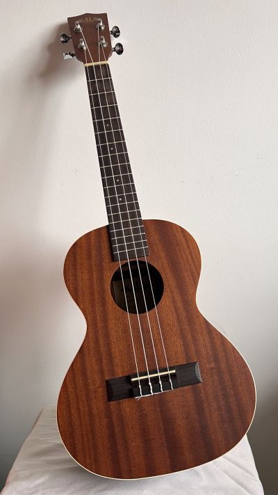 A dark ukulele propped against a white wall